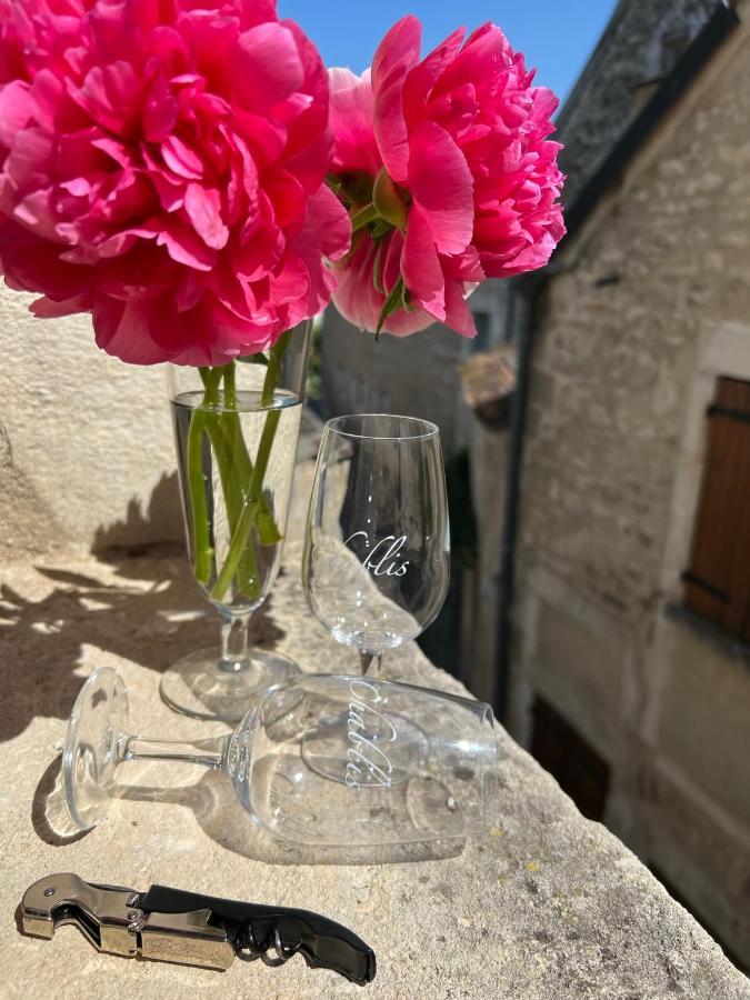 La Maison D'Alienor - Gites De Caractere A Chablis - 89 Εξωτερικό φωτογραφία
