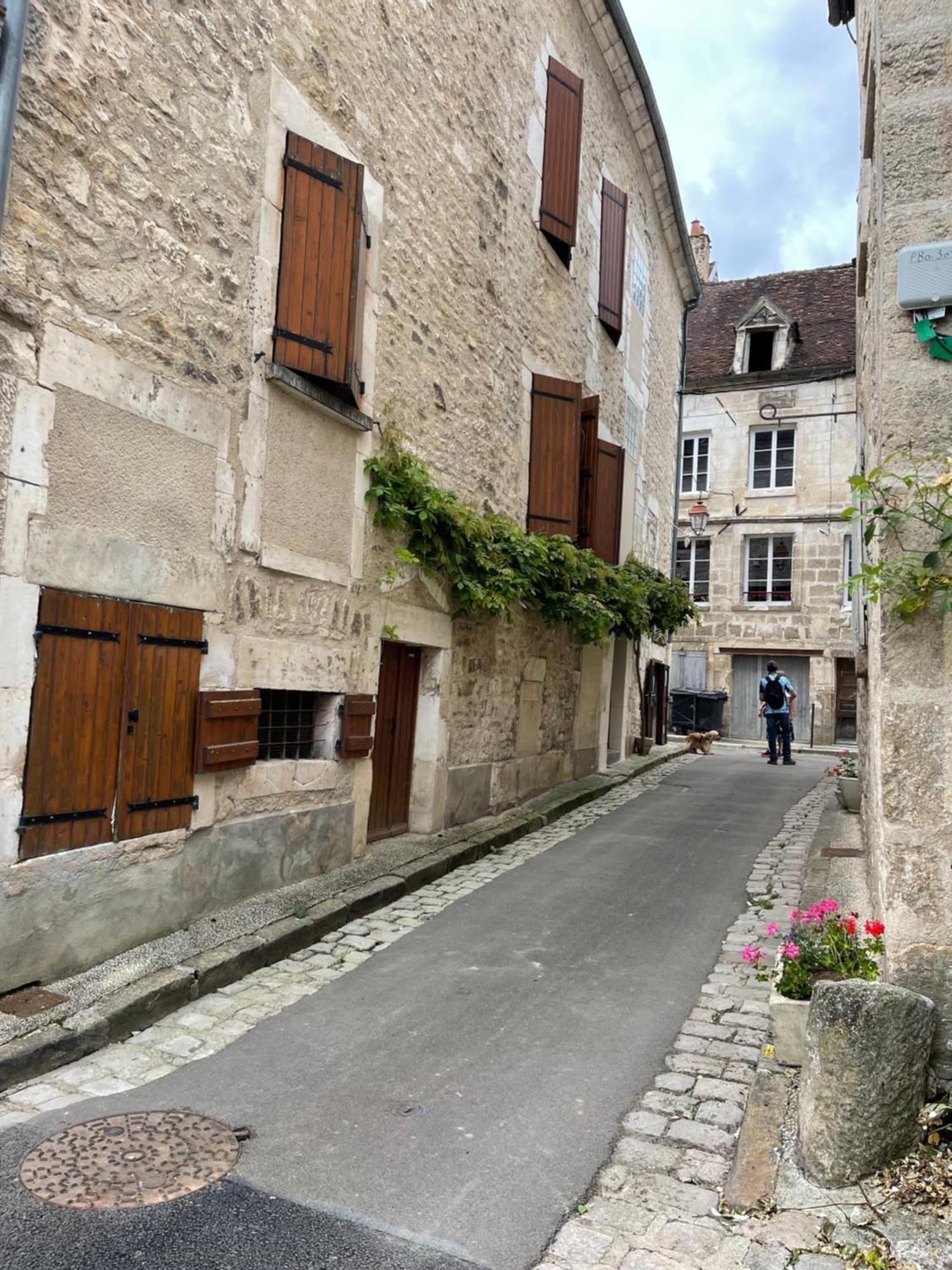 La Maison D'Alienor - Gites De Caractere A Chablis - 89 Εξωτερικό φωτογραφία